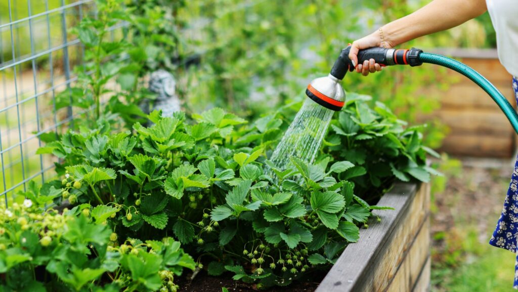 fifth season gardening